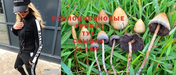 каннабис Медногорск