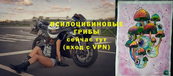 mdpv Медвежьегорск